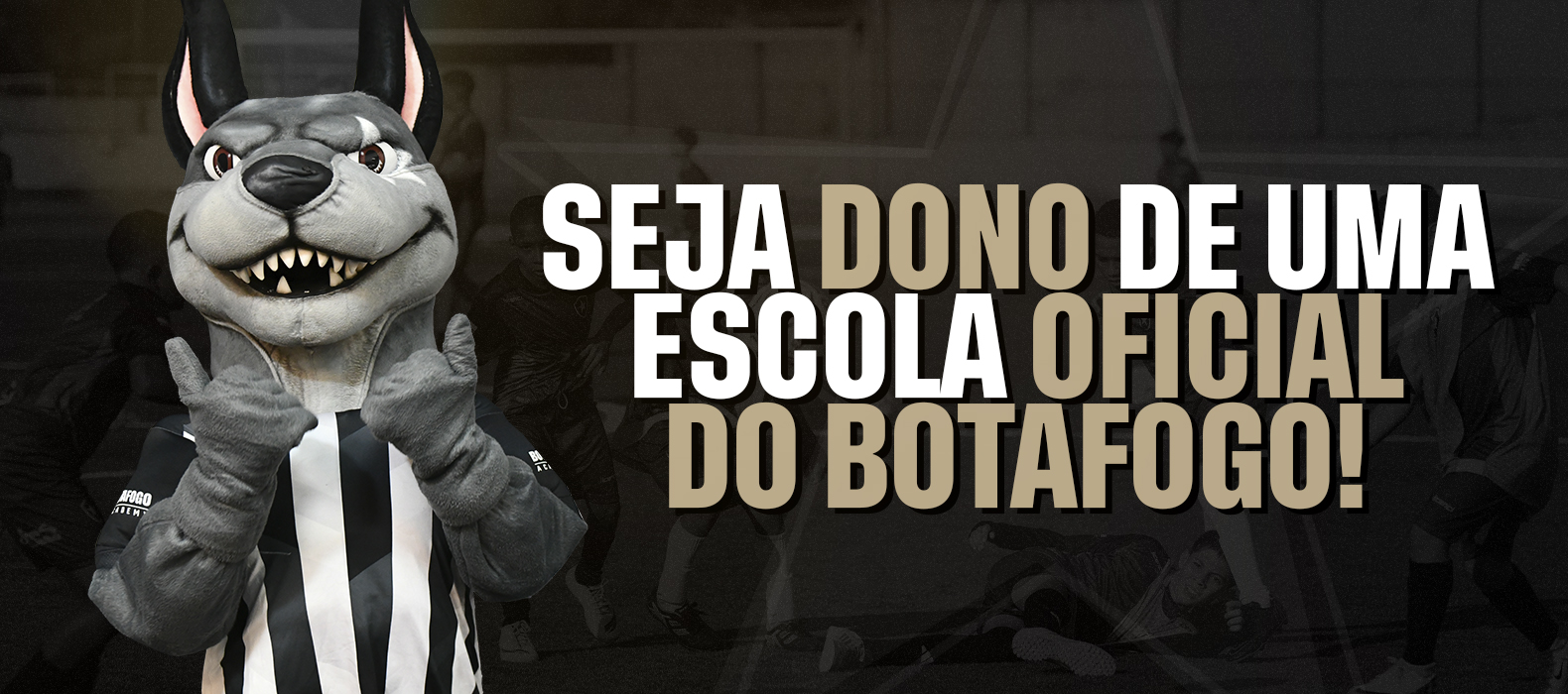 Banner Footer